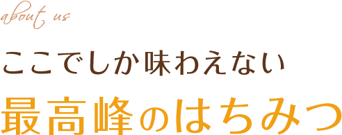 ここでしか味わえない最高峰のはちみつ